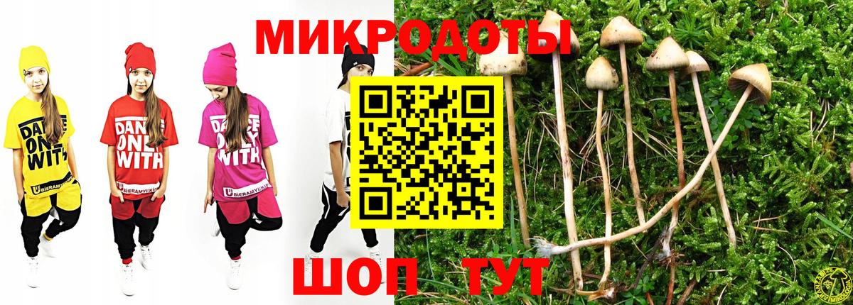 Галлюциногенные грибы MAGIC MUSHROOMS Бердск