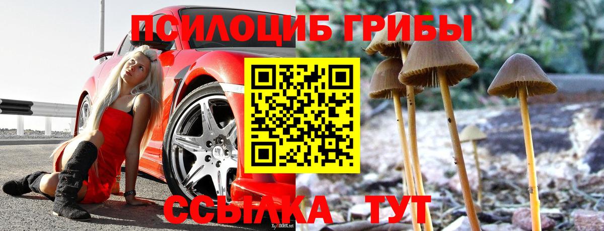 Бердск  Галлюциногенные грибы прущие грибы  Галлюциногенные грибы Magic Shrooms  Вход с VPN 